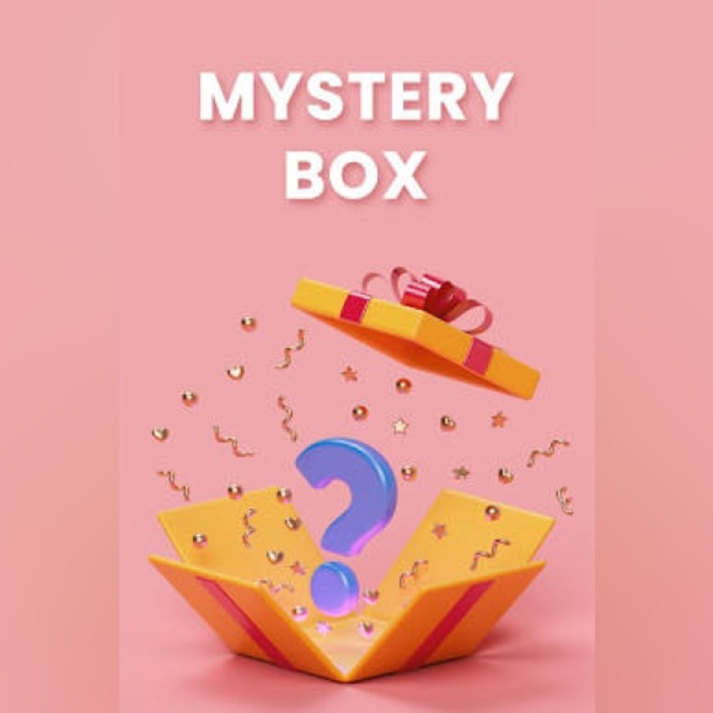 Large Mystery Clothing Bundle